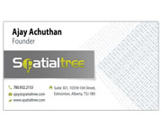 Spatial Tree Business Card