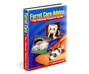 Other designs - Ferret Care Advice Book Cover