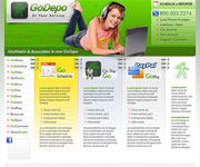 web site development - Go Depo