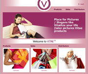 web site development - VITAE web site development