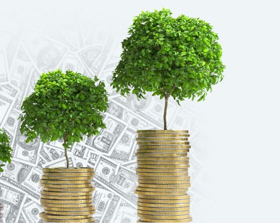 Learn the Basics background image