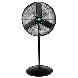 product 6