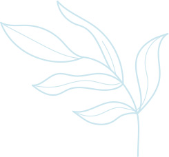 flower plant