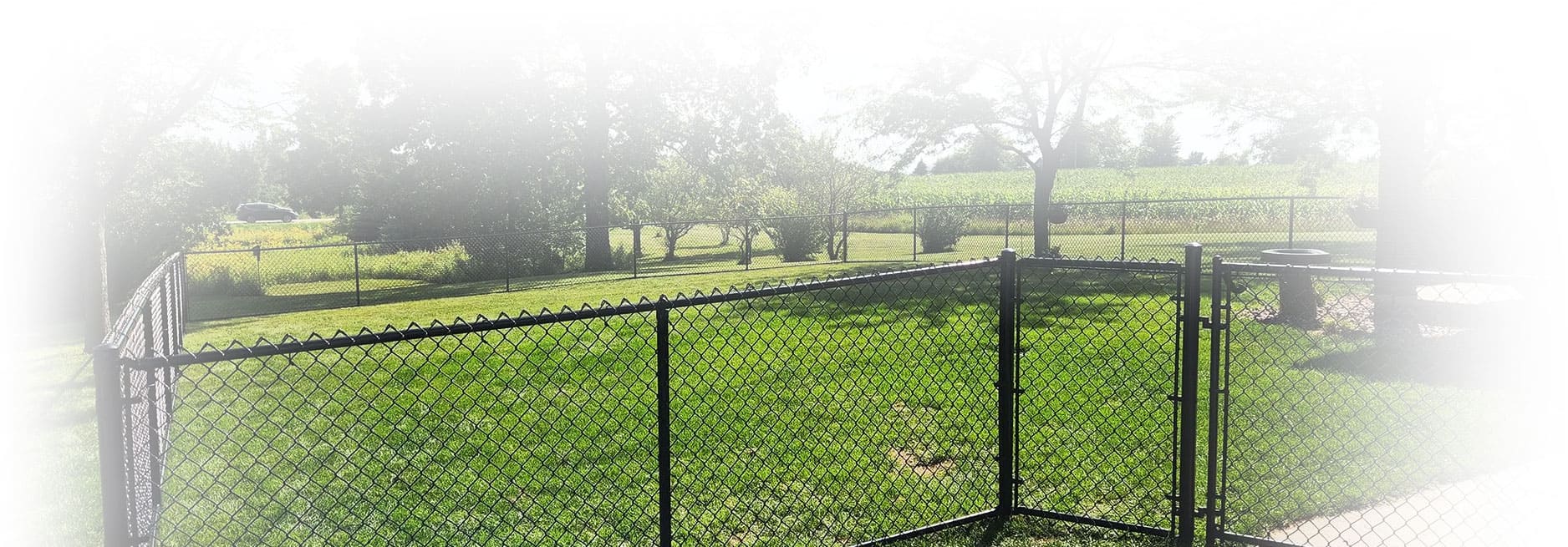 chain link fences