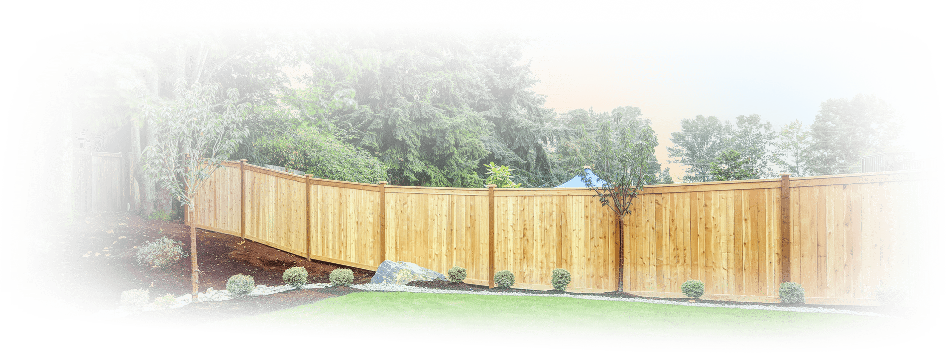 background image in header