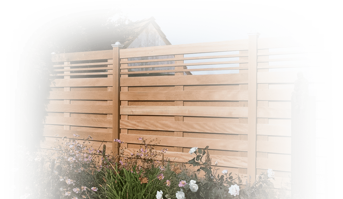 background image in header