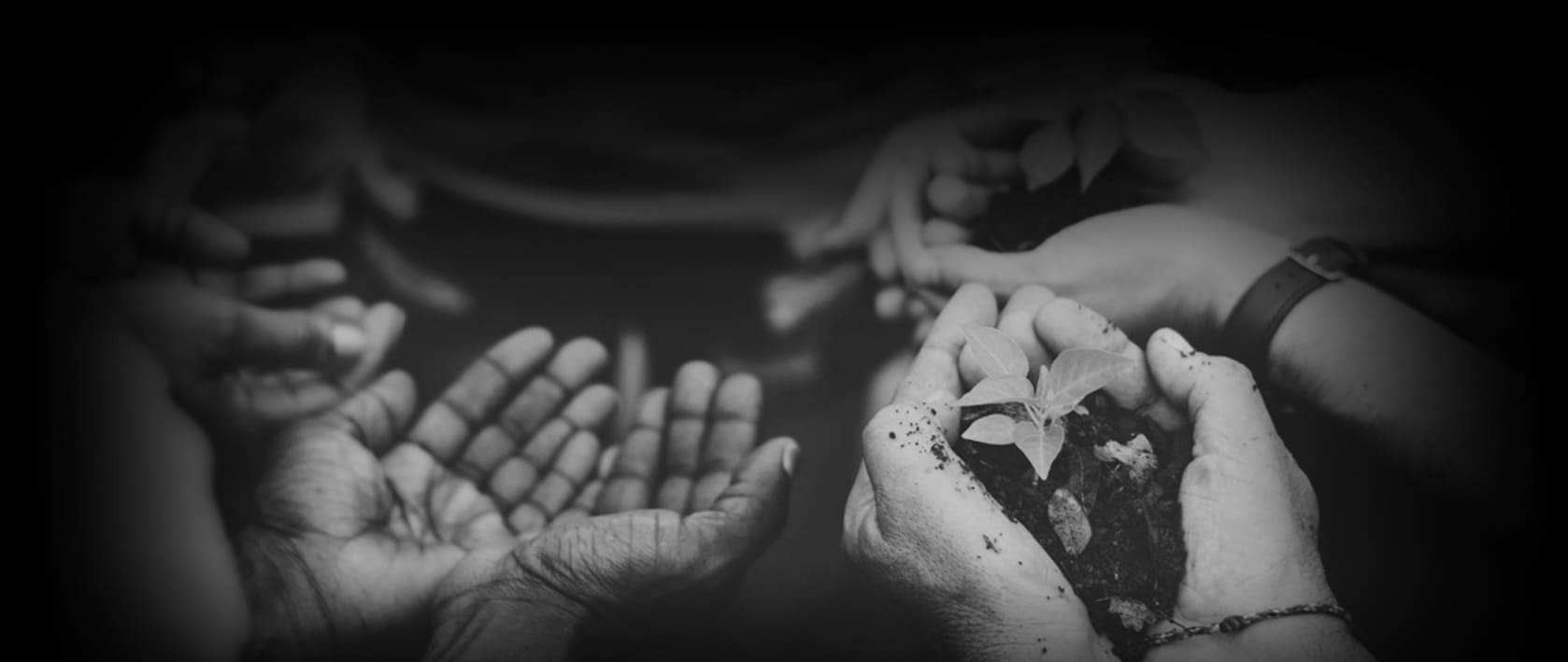 background image in header